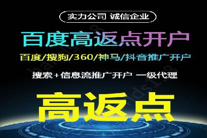 百度竞价排名实战：某电商平台的成功之路